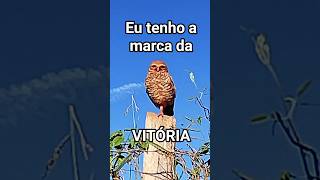 Eu tenho a Marca da VITÓRIA