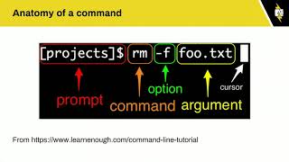 Command line basics for site builders