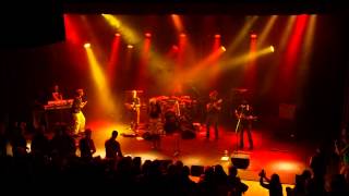 Mo'kalamity and the wizards : Queen of bees