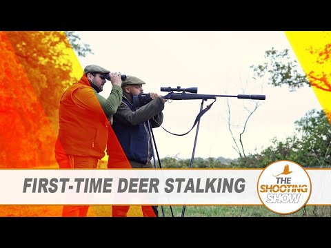 The Shooting Show - Stalking with a newcomer, high bird shooting PLUS a manic ratting session