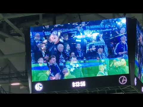 Königsblauer S04 Live in der Veltins Arena  beim Spiel Schalke gegen Darmstadt 24.10.25  #Schalke