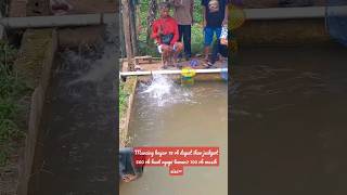 Download lagu unexpected fortune to get a jackpot fish, the payout is only 18 thousand #shorts mp3