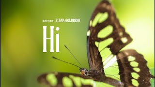 Hi (2025) | Coming soon