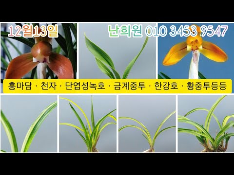유튜브 썸네일