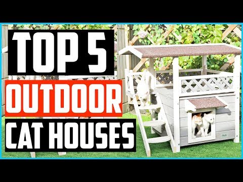 Top 5 Best Outdoor Cat Houses in 2020
