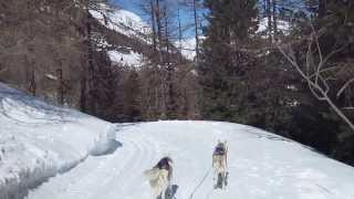 preview picture of video 'Ski-chiens (21), avec Saskia et Jiro, à Arolla'