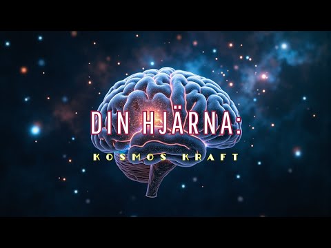 DEN MENTALA MATRISEN: HUR DINA TANKAR VÄVER UNIVERSUM