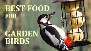 The ONLY Food you need to attract Birds to your garden.