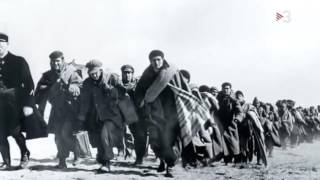 Camp d'Argelès de Felip Sole