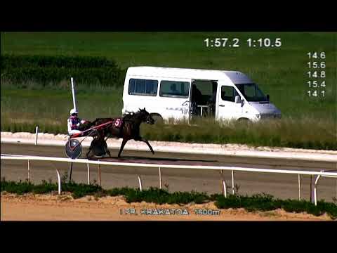 Trotto corse del 20 Ottobre 2022