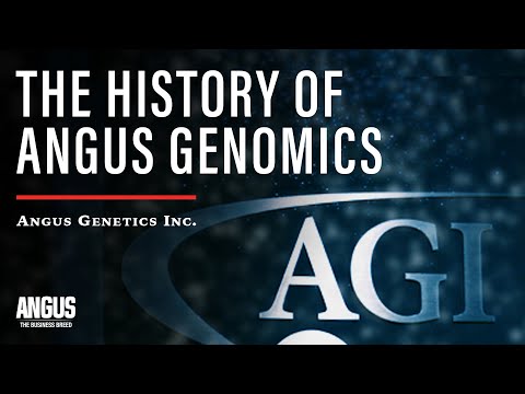 AGI: History of Angus Genomics
