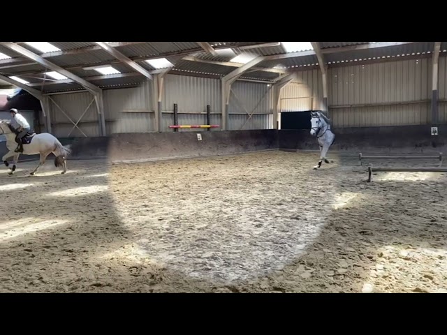 T-Maximus W Z Tryout