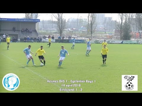 Samenvatting Hermes DVS 1 - Egelantier Boys 1