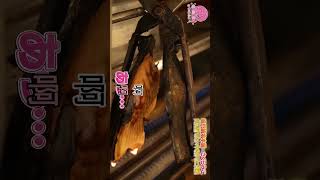 不愧是35！傳承了火烤就是美味 #hololive #ホロライブ #vtuber #さくらみこ #micomet #ホロライブ #さくらみこ #みこにゅーす #ホロライブ #さくらみこ #みこにゅーす