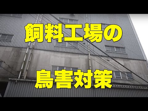 食品工場・倉庫に効果抜群の鳥害対策商品です。