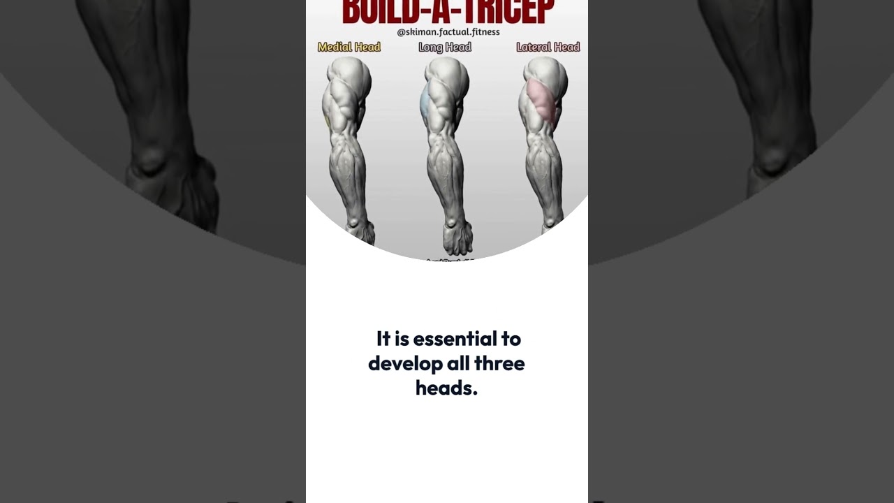 Does your tricep exercise hit all three heads?
