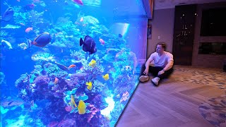 65.000 liter PRIVATE REEF TANK - My experience with Polo&#39;s Reef