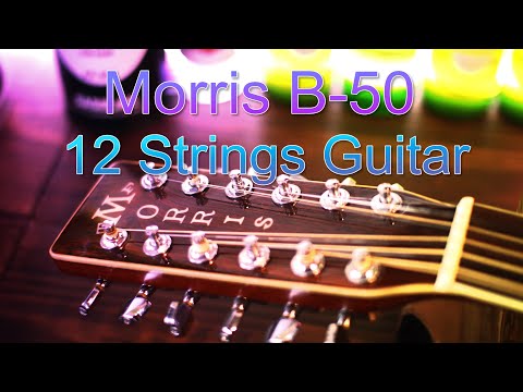 1979 Morris B-50 - Natural | Vintage Japan Post Lawsuit D-41 Dreadnought 12-String Acoustic Guitar 3-Piece Back Jacaranda | Case image 21