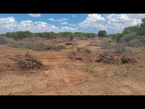 A construção da ponte de Manga a Matias Cardoso Episódio 3