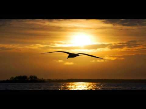 ღ♫ Vinko Coce - Dalmacija, more, ja i ti ღ♫