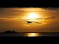 ღ Vinko Coce Dalmacija More Ja I Ti ღ