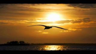 ღ♫ Vinko Coce - Dalmacija, more, ja i ti ღ♫