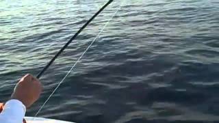 preview picture of video 'Fly Fishing with Jim,  S.W. corner Block Island'