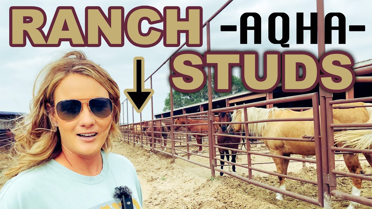 LOOK AT ALL THESE RANCH STUDS