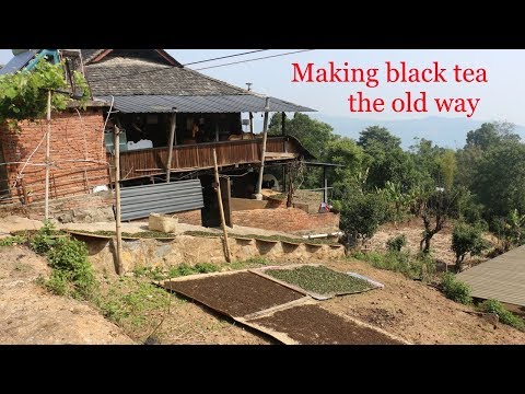 Artisanal Black Tea Processing
