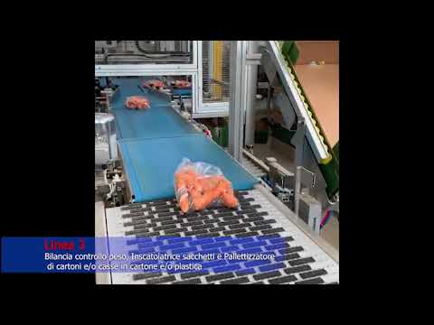 Alutec® automatic case packer