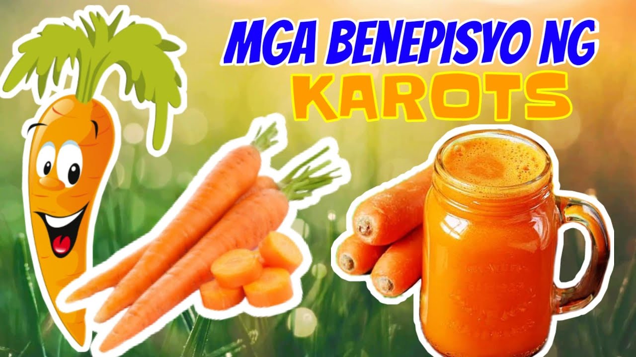 Putar video Benepisyo ng Karots sa ating katawan sekarang Benepisyo ng Karots sa ating katawan