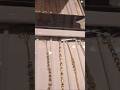 Gold Shopping In Tanishq Tanishq Boleduvishayalusujathatho Shorts