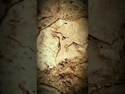 Risse im Asphalt - by AnDia