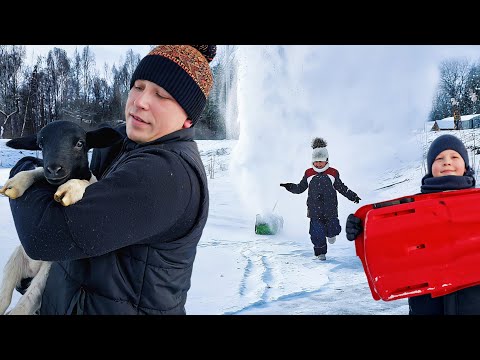 Unforgettable New Year holidays at Blueberry Farm: animals, snow, and joy!