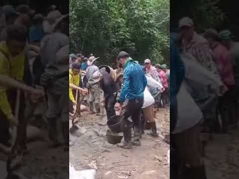 comunidad unida haciendo minga o convite en Río Blanco Tolima #campo #cafe