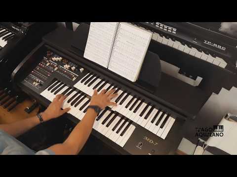 TOKAI MD-7 Hino 146 Tiago Aquilano