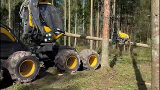 Venta de Ponsse Scorpion King procesadora forestal - Imagen 4 | Agronetto PY Ponsse Scorpion King procesadora forestal | Imagen 4 - Agronetto