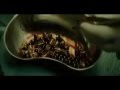 22 Balas El Inmortal Trailer