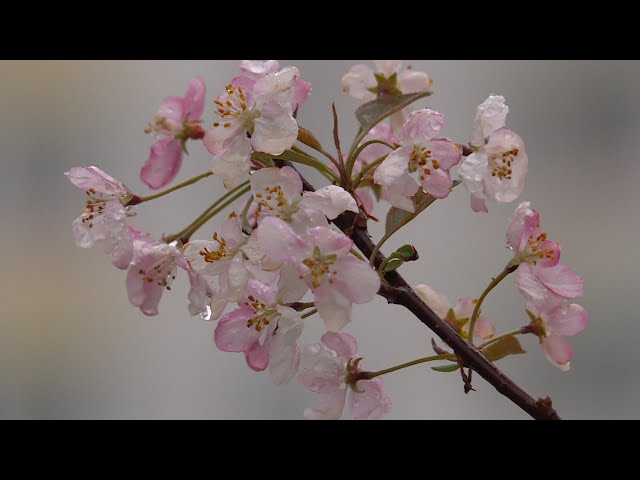 Бабье лето закончилось