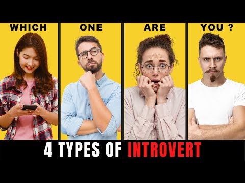 4 Types of Introvert | Personality Types