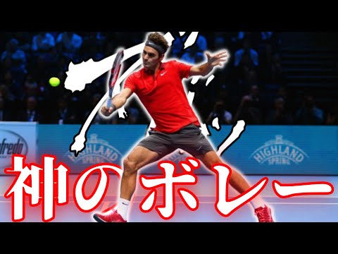 デビッド・モリス・リーについて詳しく解説