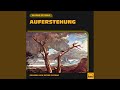 Kapitel 5 - Auferstehung