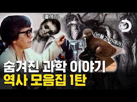 , title : '비둘기 스파이부터 연유& 방탄조끼의 발명까지! 주말엔 역사 몰아보기! [역사 모음집] 1탄'