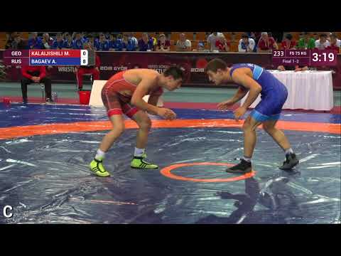 GOLD FS - 75 kg: M. KALAIJISHILI (GEO) v. A. BAGAEV (RUS)