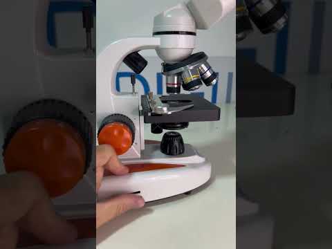 V&iacute;deo 2