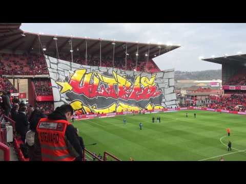 Tifo Standard (part 1)