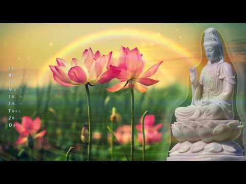 Sám Pháp Đại Bi Có Chữ - Thầy Thích Pháp Hòa Tụng