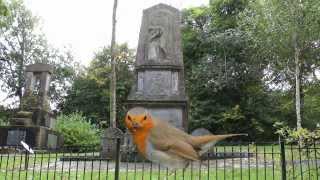 Robert Burns....A wee look at Highland Marys grave in Greenock