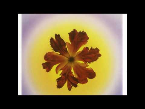 Trumpet Thing - Need You (Right Now) (Ambient Mix)