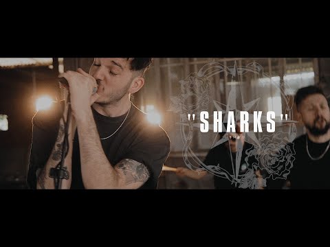 Show Me Your Universe - Sharks